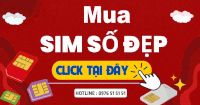 simsodep
