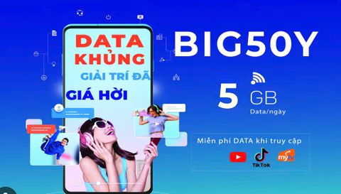   Sim Vinaphone BIG50Y