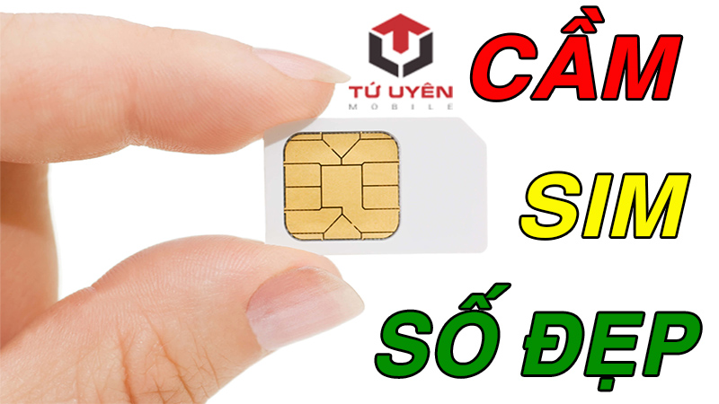 Cầm sim số đẹp tại TP HCM